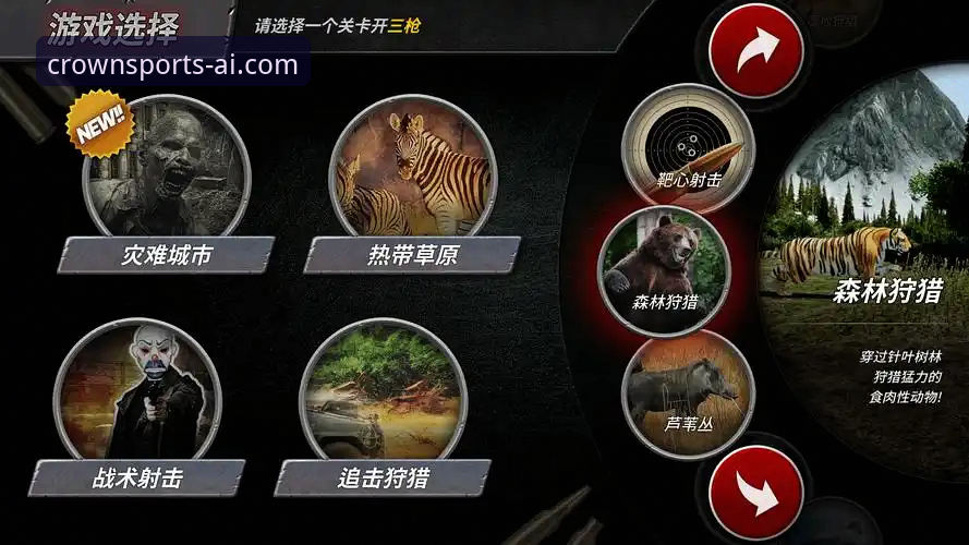 冠竞体育流畅体验如何实现？新手用户需要知道哪些关键步骤？